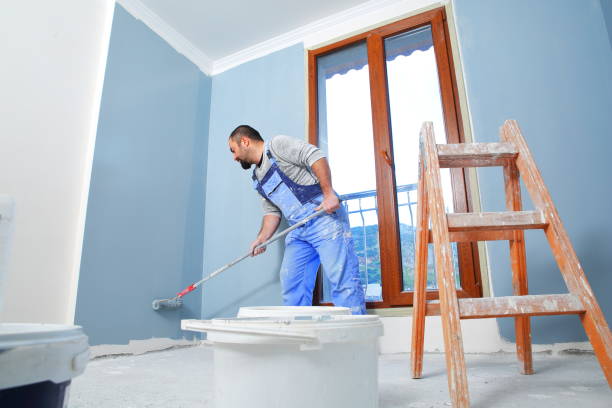 Professional Mold Removal in Woodville, MS