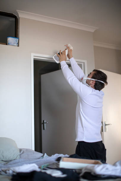 Best Basement Mold Removal  in Woodville, MS