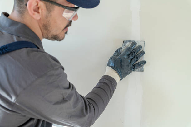 Best Basement Mold Removal  in Woodville, MS