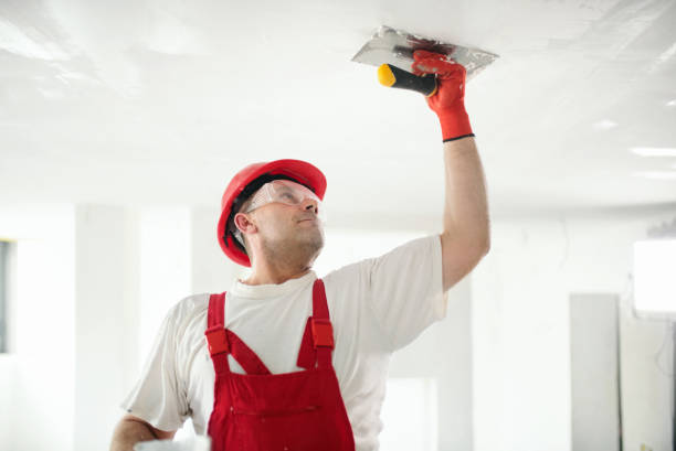 Best Residential Mold Inspection & Testing  in Woodville, MS