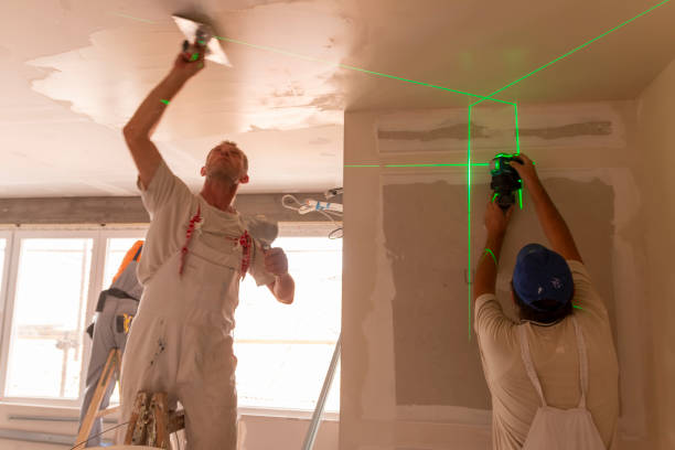 Best Comprehensive Air Testing for Mold Contaminants  in Woodville, MS