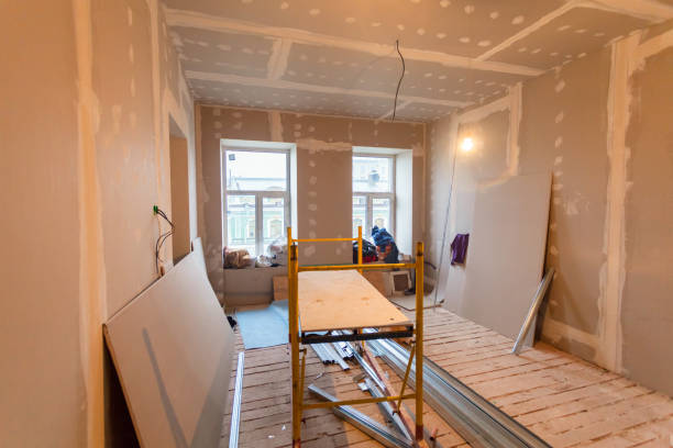 Best Black Mold Removal  in Woodville, MS