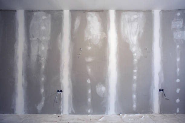 Best Mold Damage Restoration  in Woodville, MS
