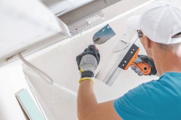 Best Industrial Mold Remediation  in Woodville, MS
